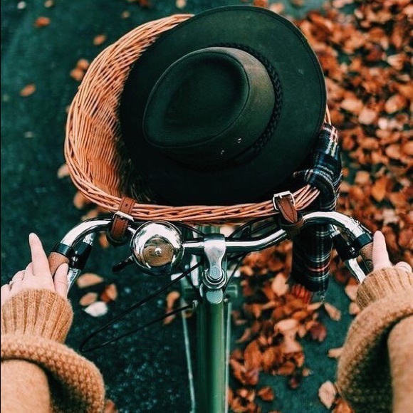 Meet your Posher, Rena - Picture 2 of 2